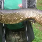 Saimaa