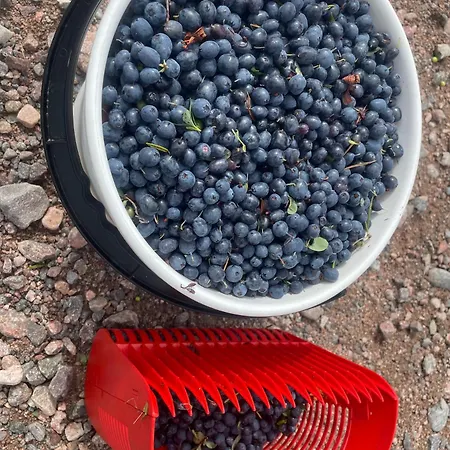 Saimaa Holiday home Vuoriniemi