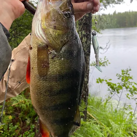 Fishing Saimaa On The Saimaa Hébergement de vacances