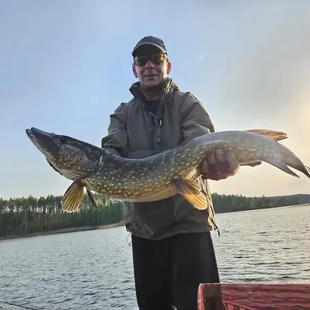 Fishing Saimaa On The Saimaa * Vuoriniemi