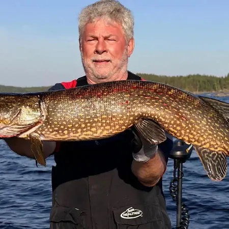 Fishing Saimaa On The Saimaa *