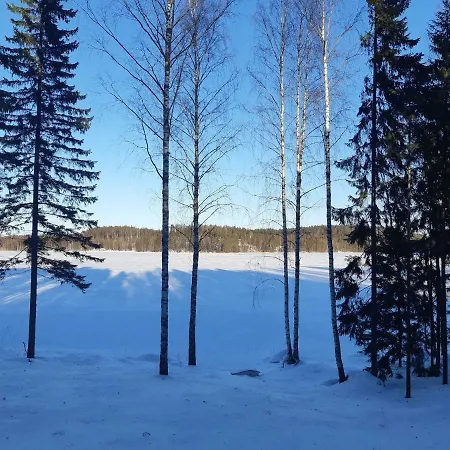 Saimaa Vuoriniemi
