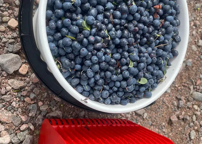 Saimaa 펜션 Vuoriniemi