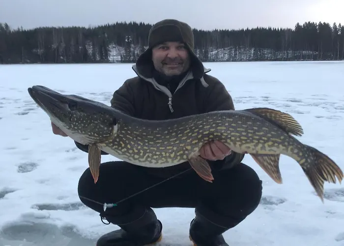 펜션 Saimaa Vuoriniemi